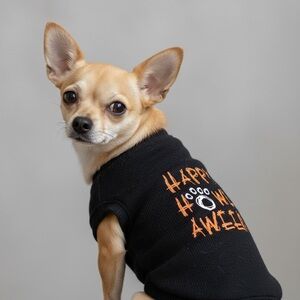 Dicken's Closet Halloween Dog Shirt